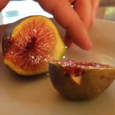 Black Madeira KK Fig Cuttings (3 Nodes 1 cutting)